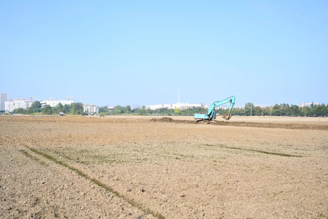 222.jpg