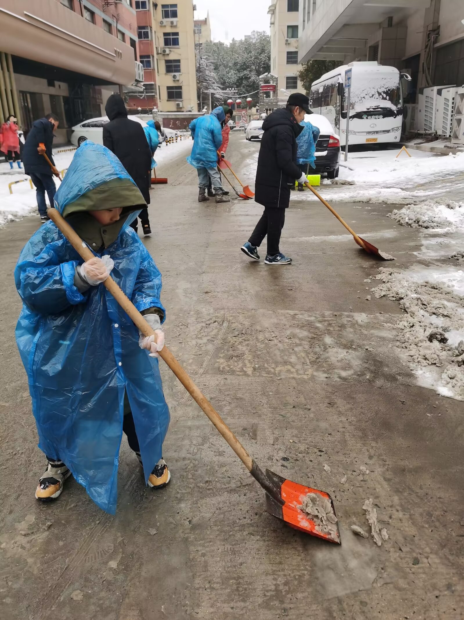 郭楷敏参加义务扫雪志愿活动2.jpg